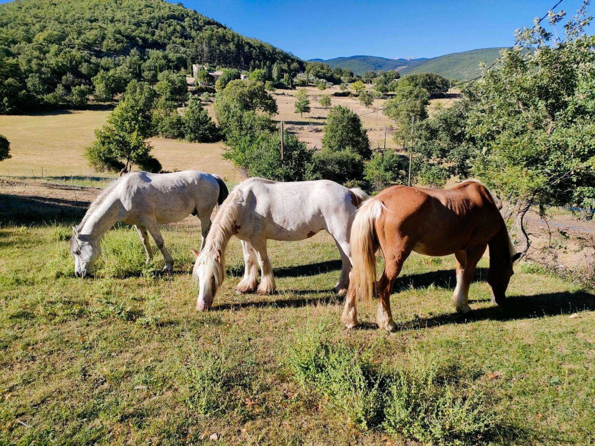 Gite A La Ferme Ongles Экстерьер фото