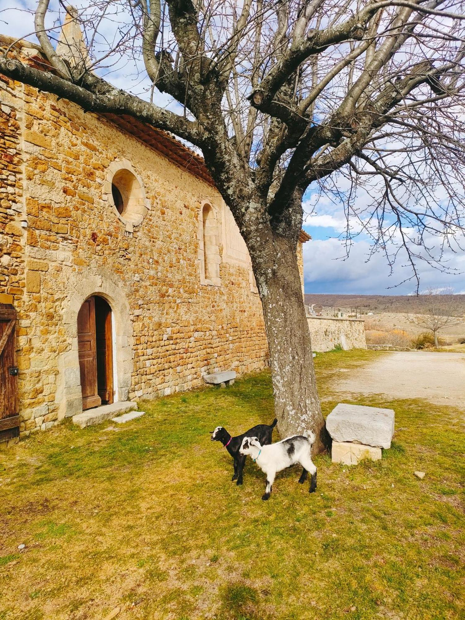 Gite A La Ferme Ongles Экстерьер фото