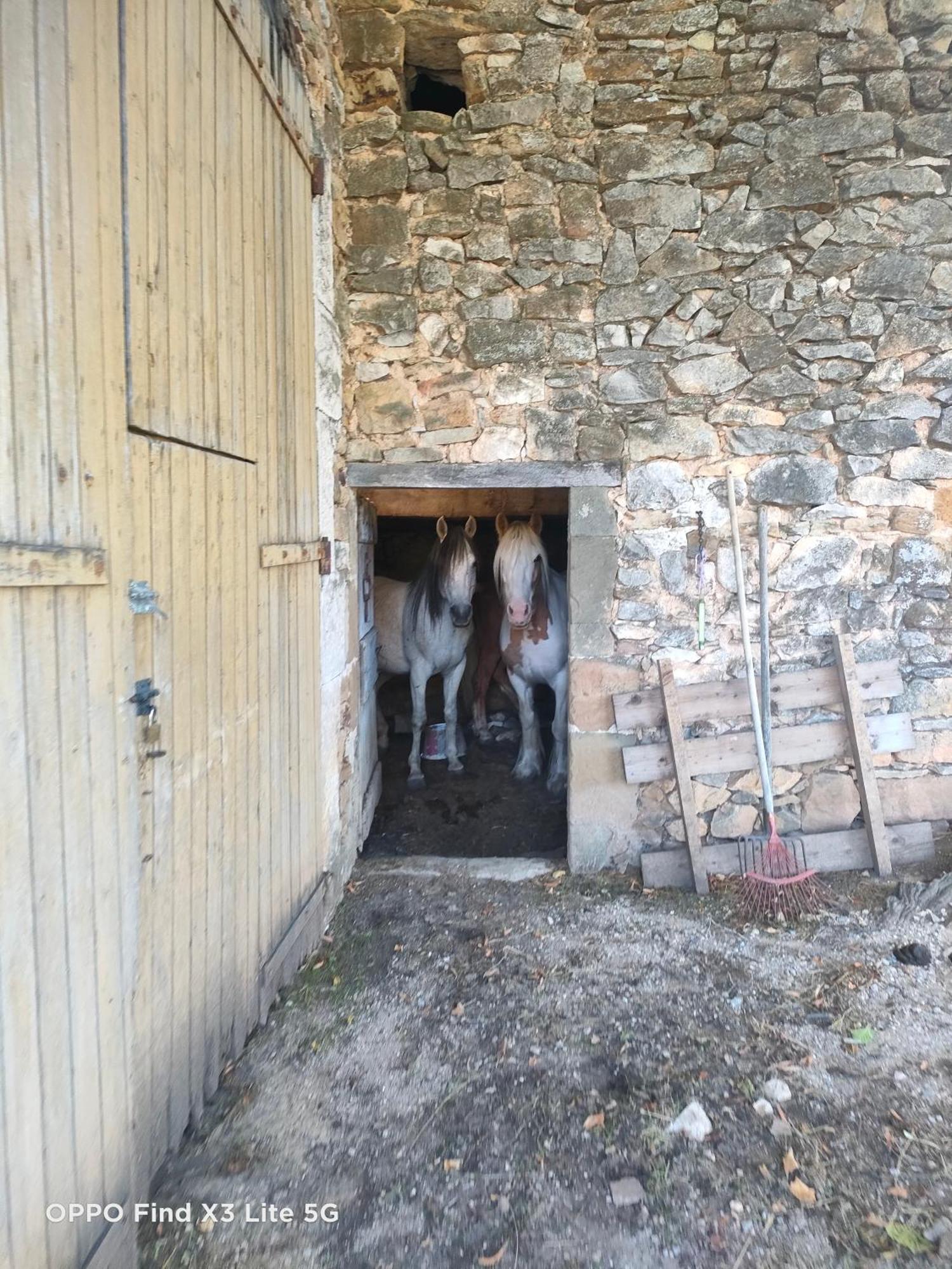 Gite A La Ferme Ongles Экстерьер фото