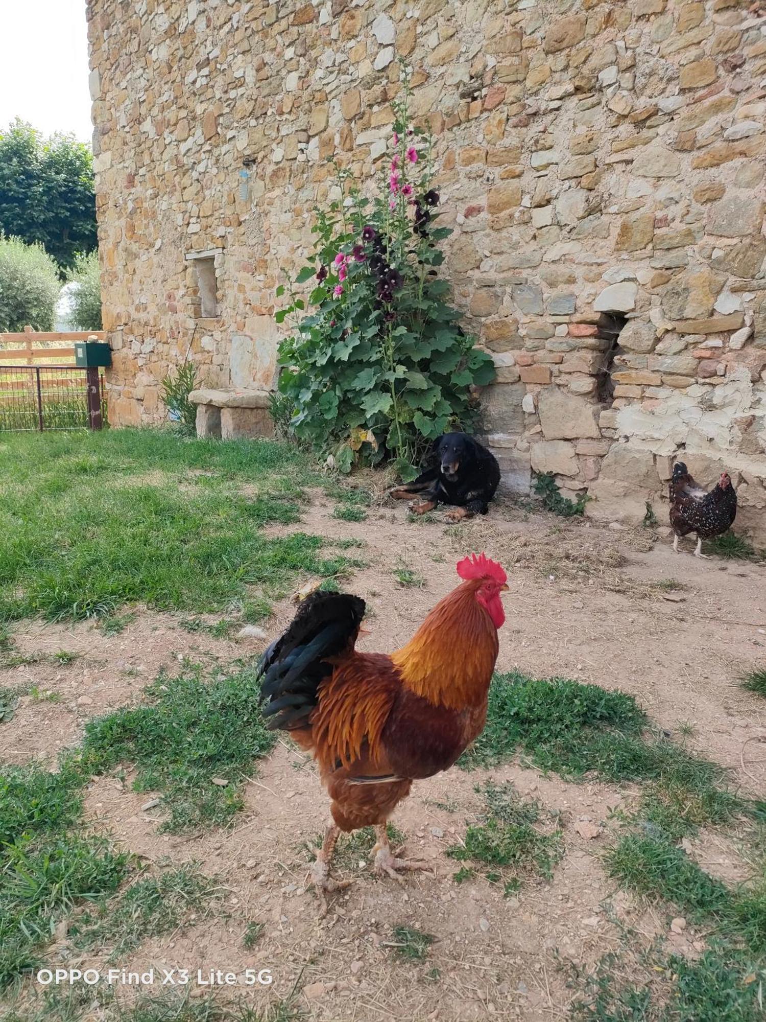 Gite A La Ferme Ongles Экстерьер фото
